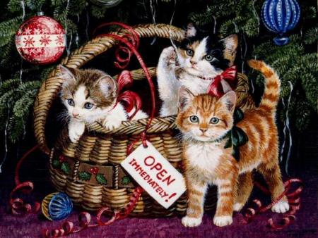 chats